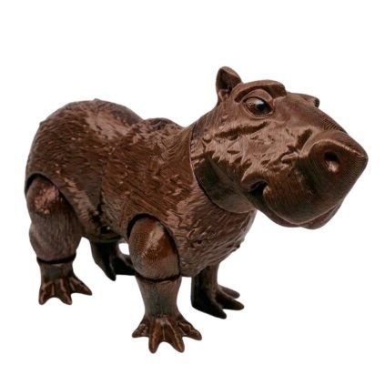 kapybara1