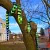 3D hadi