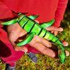 3D Plesiosaurus